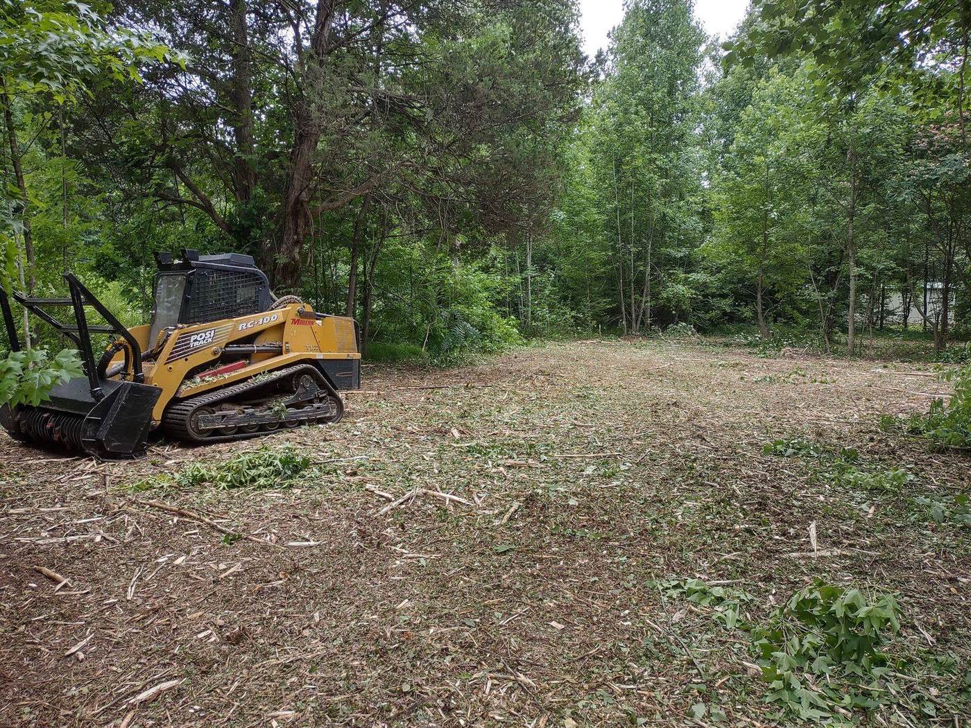 Heavy brush and undergrowth reduced by forestry mulching in Greenville, SC