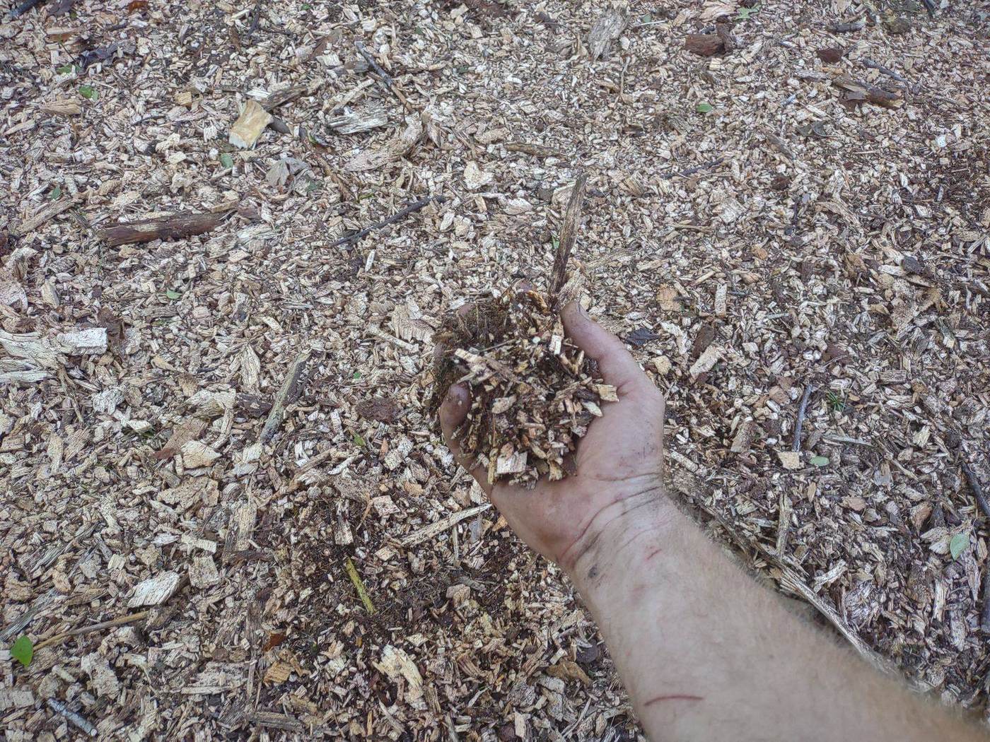 Fine biodegradable mulch left behind