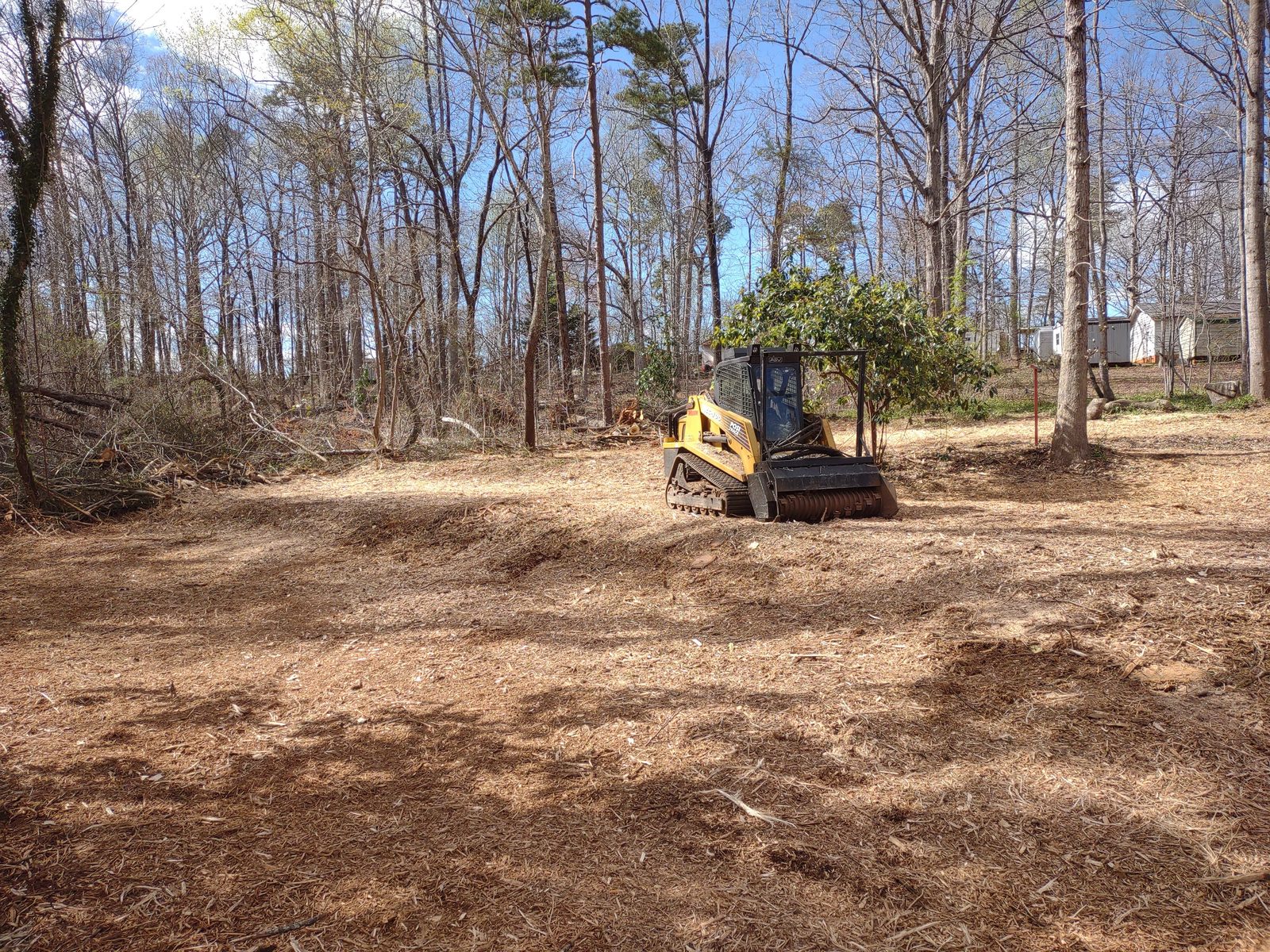 Forestry mulching a wooded residential lot in Greenville, SC