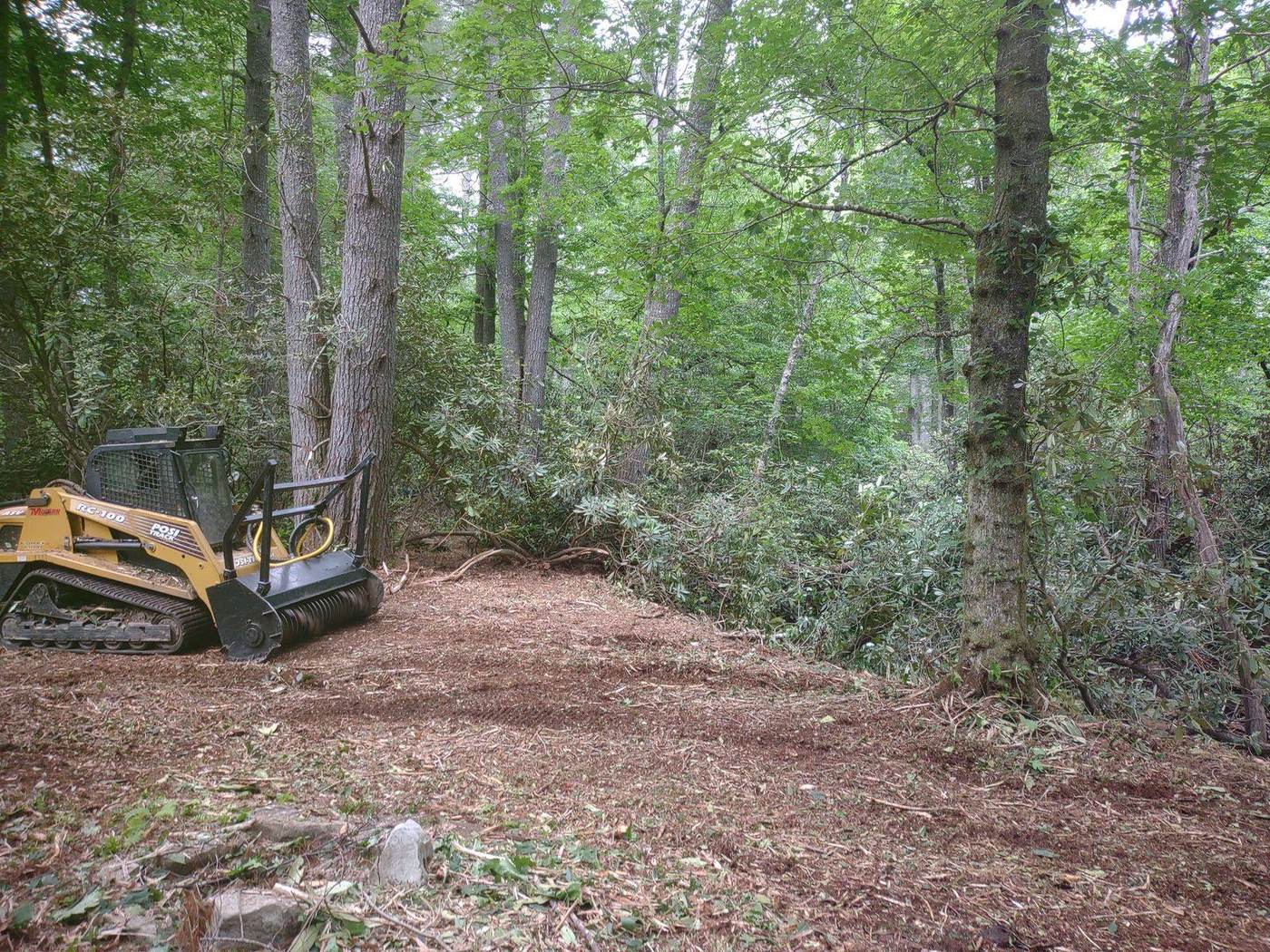 Forestry mulcher clearing wooded terrain in Travelers Rest, SC