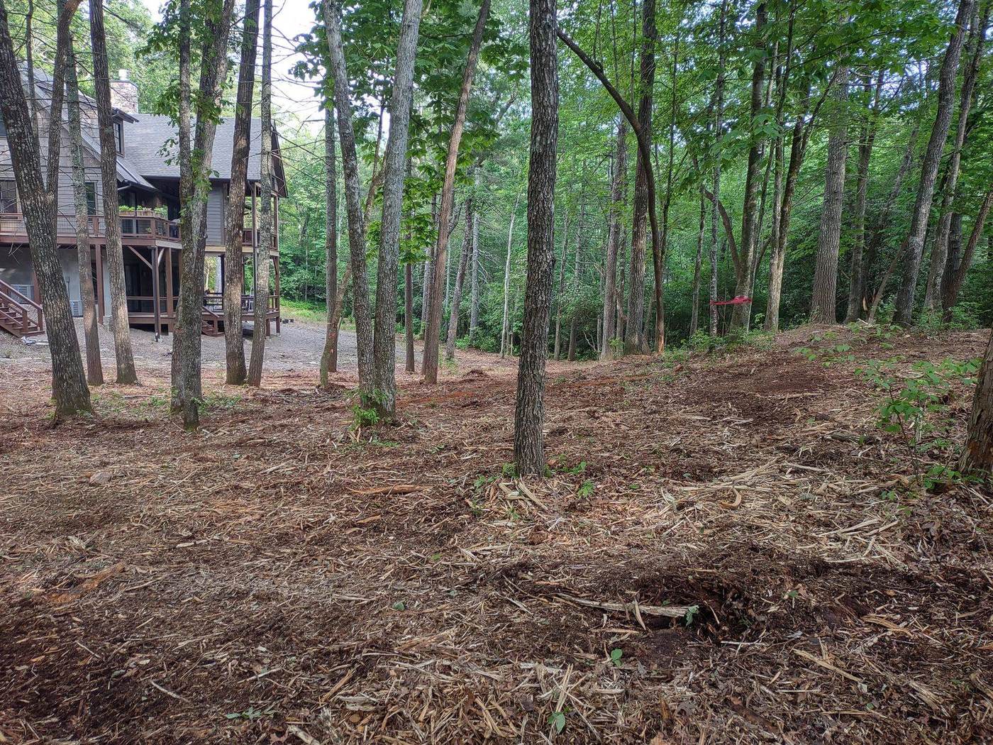 Cleared lot after forestry mulching