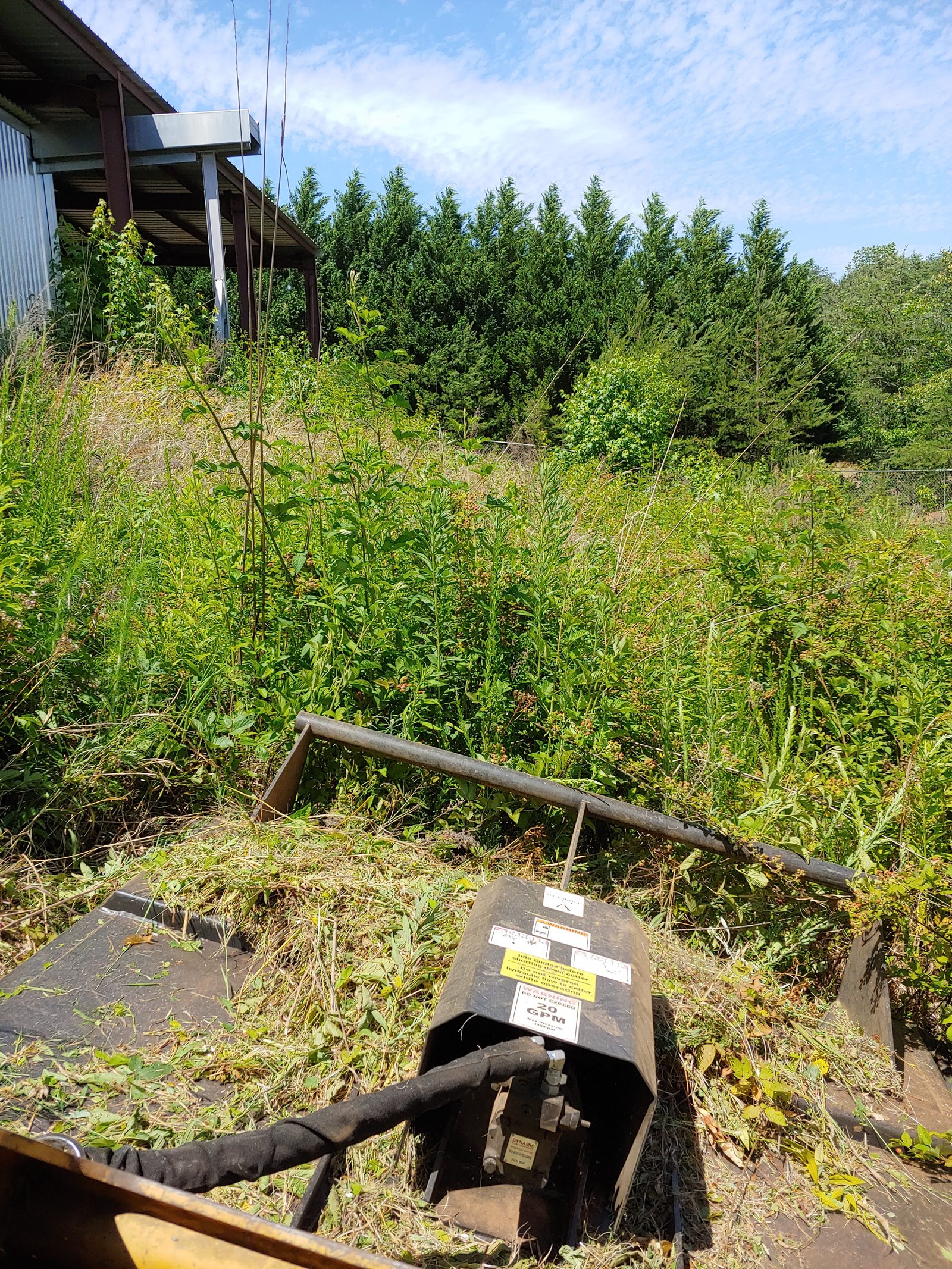 Land clearing a heavily overgrown lot in Easley, SC