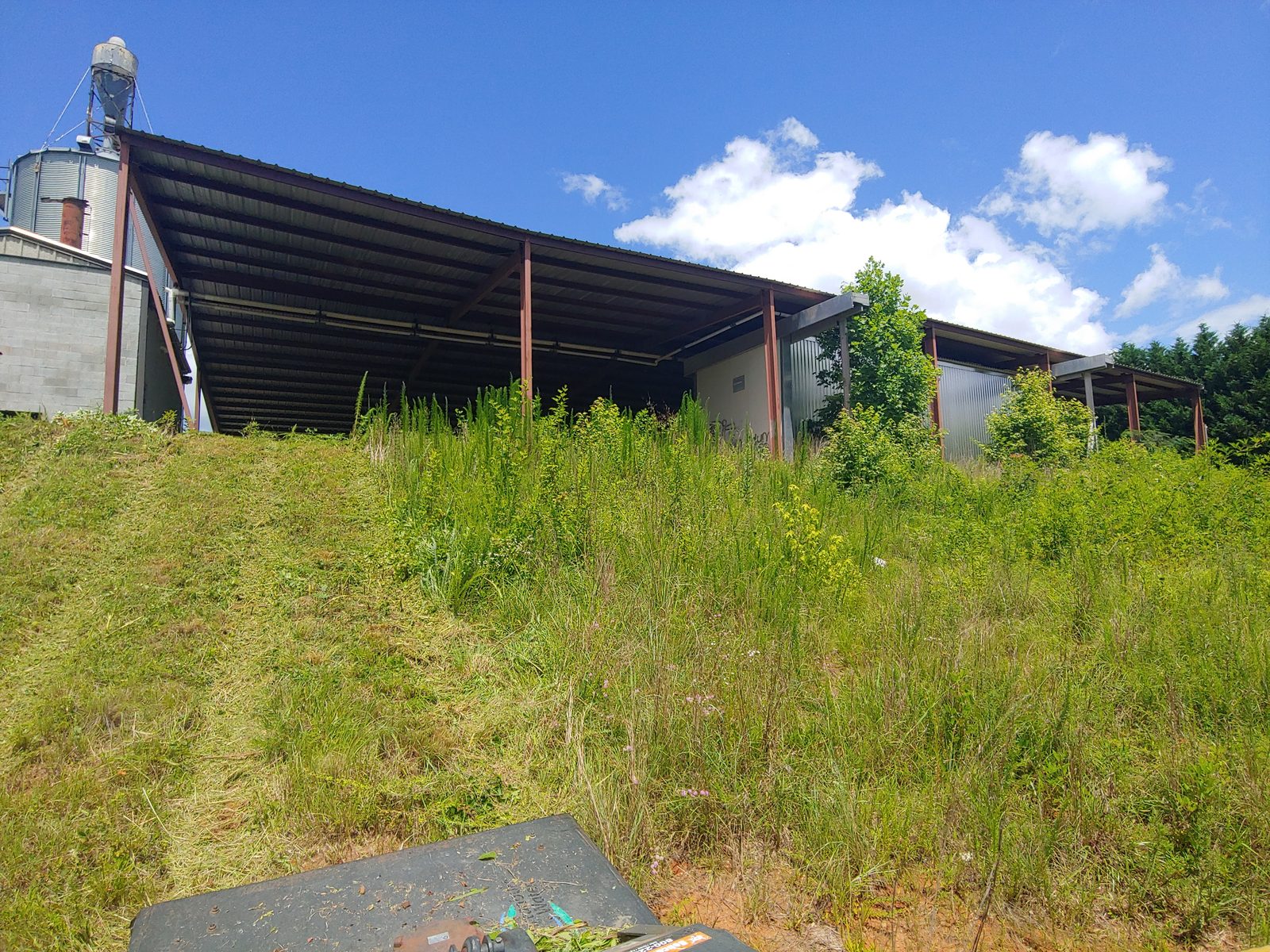Brush clearing an overgrown hillside at an Easley, SC property