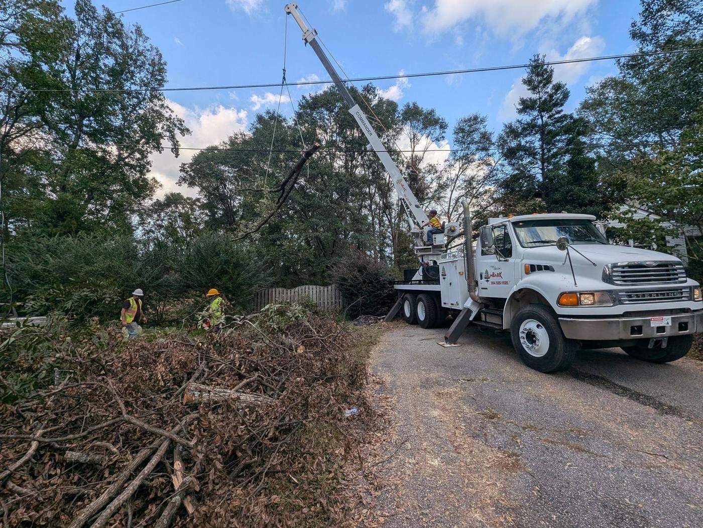 Storm cleanup crew clearing fallen tree debris